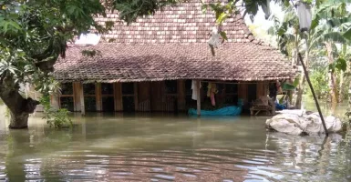 Banjir di Pati Meluas, Begini Kondisinya