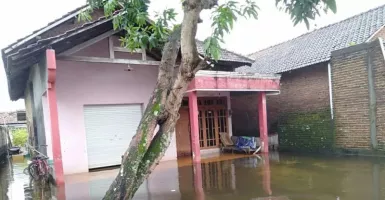 Curah Hujan Tinggi, Ratusan Rumah Warga di Kudus Kebanjiran
