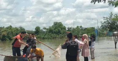 Bikin Sedih! Banjir Rendam Ribuan Hektare Sawah di Sragen