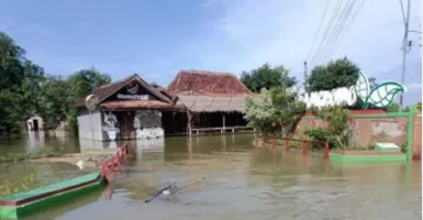 Astaga! 1 Desa di Pati Masih Tergenang Banjir