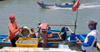 Alhamdulillah! Nelayan di Cilacap Panen Ubur-Ubur