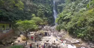 Desa BRILiaN Pegunungan dan Kopi Robusta Sanggabuana di Karawang Memikat Hati Wisatawan