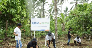 Menanam Tanaman Produktif di Lahan Sempit, BRI Grow & Green Berdayakan Dua Kelompok Tani di Bali
