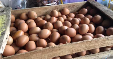 Harga Telur Ayam di Solo Turun Tipis Jadi Rp 27.000/Kg