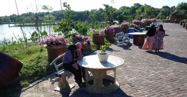 Yuk Wisata Magrove Surabaya, Lokasinya Instagramable Banget