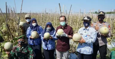 Kelompok Tani di Magetan Ubah Lahan Tebu Jadi Melon