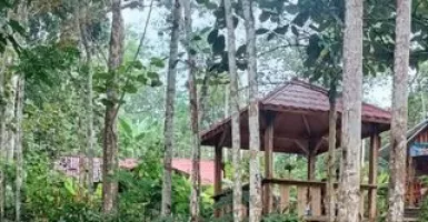 Wana Wisata Sumber Biru, Sensasi Makan di Tengah Aliran Sungai