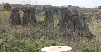 Kubur Bilik Kembali Ditemukan, Ini 4 Situs Megalitik di Bondowoso