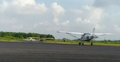 Tim Garuda Terbang TNI AU Terbang di Langit Jember, Sudah Lihat?