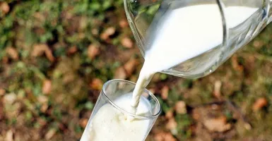 Selamat Hari Susu Sedunia, ini Manfaat Susu Sapi