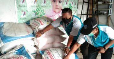 Jawaban Anak Buronan Pemasok Pupuk Palsu Buat Polisi Bingung