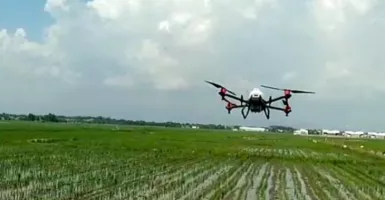 Keren! di Probolinggo Mengusir Hama Pertanian dengan Drone