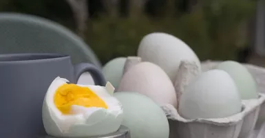 3 Manfaat Kuning Telur Bebek Bagi Kesehatan, Simak!