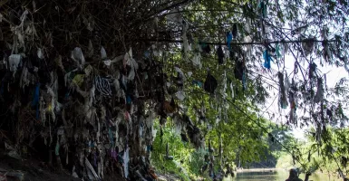 Ekspedisi Sungai Nusantara: Ada 200 Pohon Sampah di Kali Marmoyo