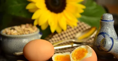 Siapa Sangka, Telur Rebus Banyak Manfaatnya