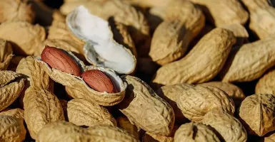 Mitos atau Fakta Makan Kacang Buat Jerawatan