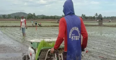 Lahan Pertanian Terbatas, IP 400 Solusinya