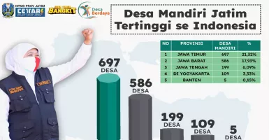 Jawa Timur Tempati Nomor 1 Desa Mandiri Skala Nasional