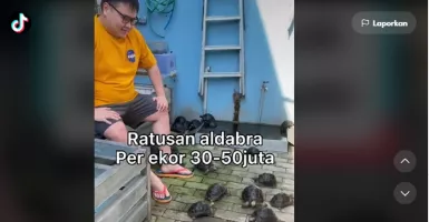 Crazy Rich Surabaya Pamer Kura-kura, Harganya Bikin Gemetar