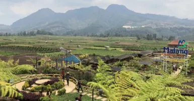 7 Tempat Wisata di Malang yang Cocok untuk Liburan Sekolah