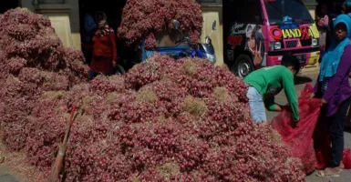 Harga Bawang Merah di Surabaya Naik, Cabai Rawit jadi Rp100 Ribu