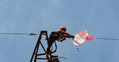 Puluhan Layang-layang Nangkring di Kabel Listrik PLN Diturunkan