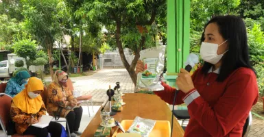 Budi Daya Hidroponik di Surabaya Dahsyat Manfaatnya