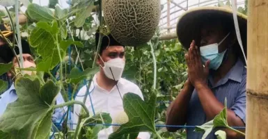 Petani Melon Curhat ke Pemkab Mojokerto, Isinya ini