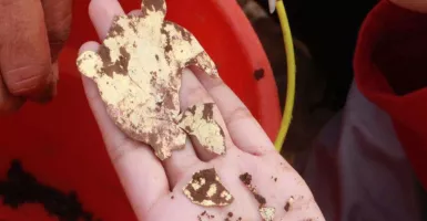 Emas Ditemukan di Situs Bhre Kahuripan, Bentuknya Kura-Kura