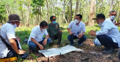 Porang dan Tebu Jadi Fokus Perhutani Jatim