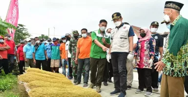 Petani Tembakau Lamongan Bisa Tenang, ini Sebabnya