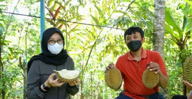 Si Manis Durian Boneng, Laris Hingga Mancanegara