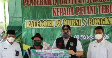 PTPN X Beri Susidi Bibit, Petani Senang