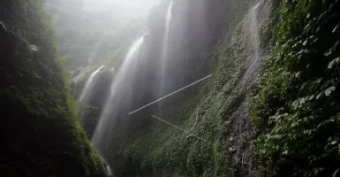 6 Alasan Harus Berkunjung ke Air Terjun Madakaripura Probolinggo