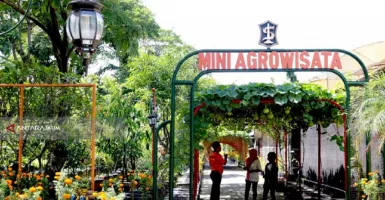 Mini Agrowisata Surabaya Kembali Buka, Simak Aturan Masuknya
