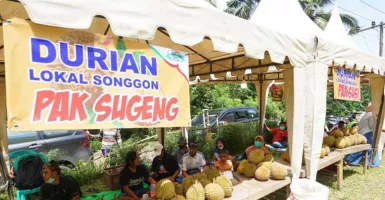 Sambut Musim Panen, Warga Songgon Gelar Festival Durian