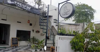 Kafe Kucing Baru Buka di Malang, Cat Lovers Merapat