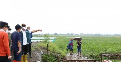 Gawat! Rob Mengancam Sidoarjo, Pemkab Dikejar Waktu Atasi Banjir