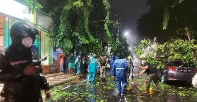 Surabaya Dilanda Angin Kencang, Satu Mobil Tertimpa Pohon Tumbang