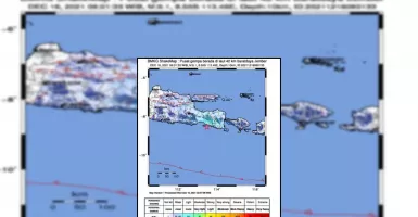 Jember Gempa Magnitudo 5,1, Terasa Hingga Bali