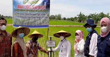 Petani Gresik Sekarang Tak Perlu Khawatir Hama, Ada Solusinya