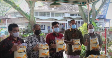 UMM Luncurkan Profeed, Makanan Praktis untuk Sapi