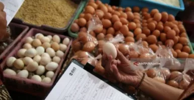 Harga Telur Ayam di Kota Malang Tembus Rp 33.000, Pedagang Pasrah