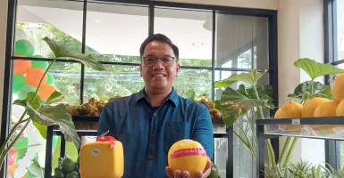 Melon di Geofresh Indonesia Bentuknya Tak Biasa, Unik!