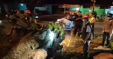 Hujan Lebat di Kabupaten Malang Akibatkan Pohon Tumbang