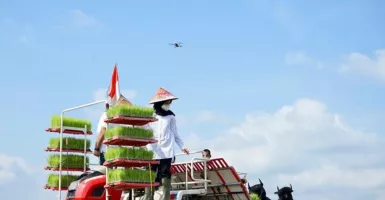Kementan Gelontor Ratusan Ton Benih Padi di Banyuwangi, Hamdalah