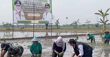 Pemprov Jatim Gandeng Perusahaan Swasta, Digitalisasi Pertanian