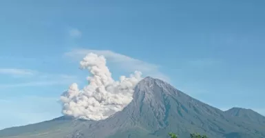 Gunung Semeru Aktif Lagi, PVMBG Keluarkan Rekomendasai