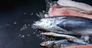 3 Cara Memilih Ikan Segar, Simak Baik-Baik