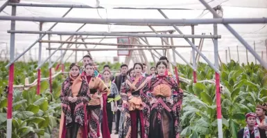 Embran Nawawi Tampilkan Koleksi Batik di Areal Kebun Tembakau